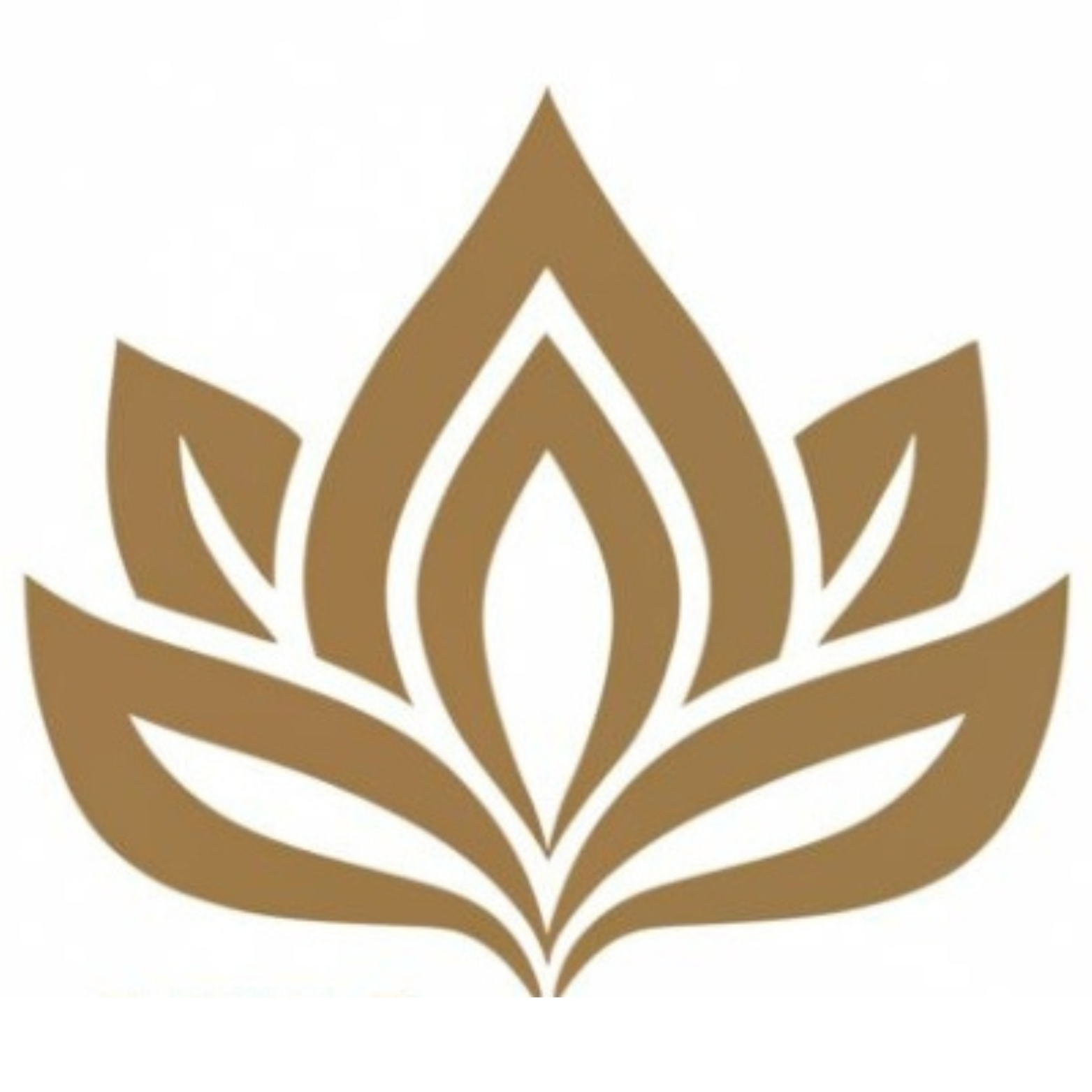 Star DMC Thailand Company Pvt.Ltd